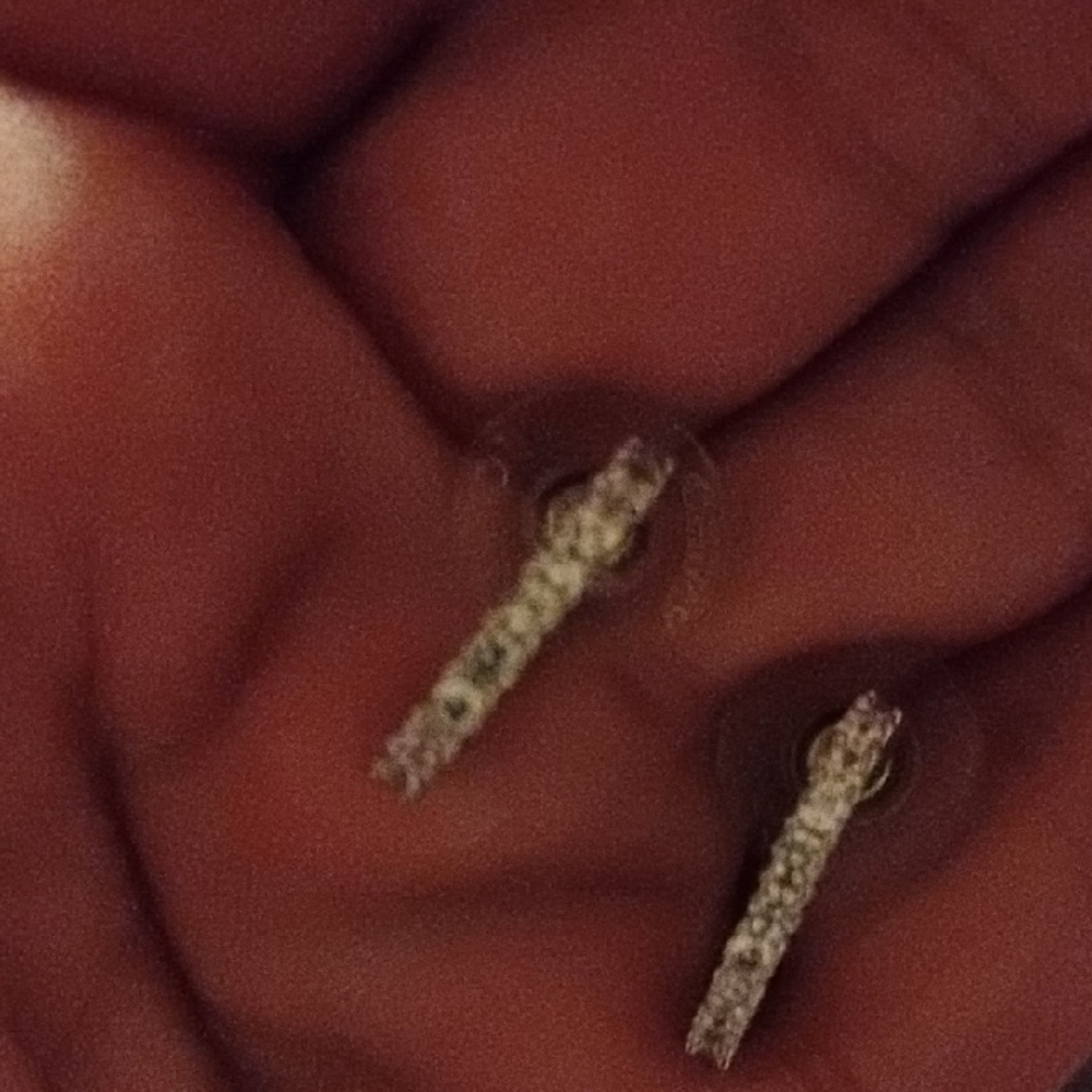 Vintage CZ Huggie Earrings